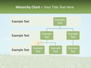 House Supply Electric PowerPoint Template