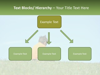 House Supply Electric PowerPoint Template