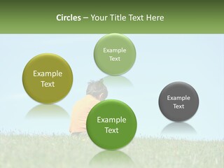 House Supply Electric PowerPoint Template