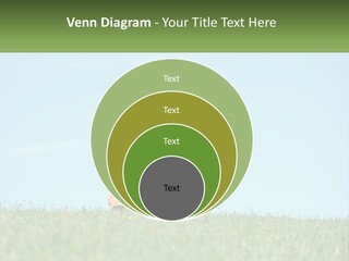 House Supply Electric PowerPoint Template