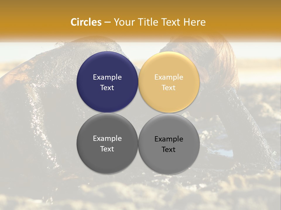 Industry Condition Electric PowerPoint Template