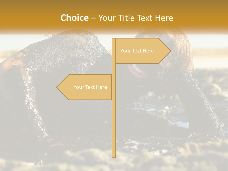 Industry Condition Electric PowerPoint Template