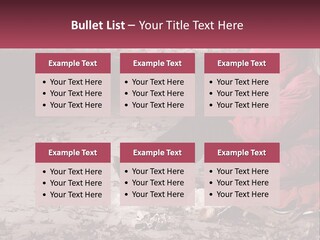 Ventilation Conditioner Home PowerPoint Template