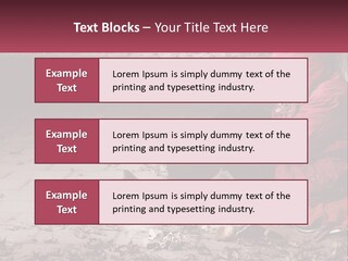 Ventilation Conditioner Home PowerPoint Template