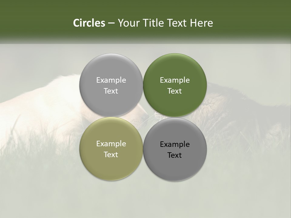 Technology Cool Climate PowerPoint Template