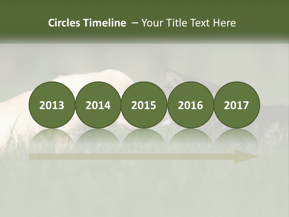 Technology Cool Climate PowerPoint Template