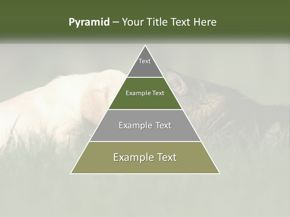 Technology Cool Climate PowerPoint Template