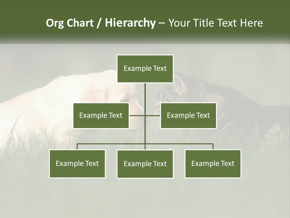 Technology Cool Climate PowerPoint Template