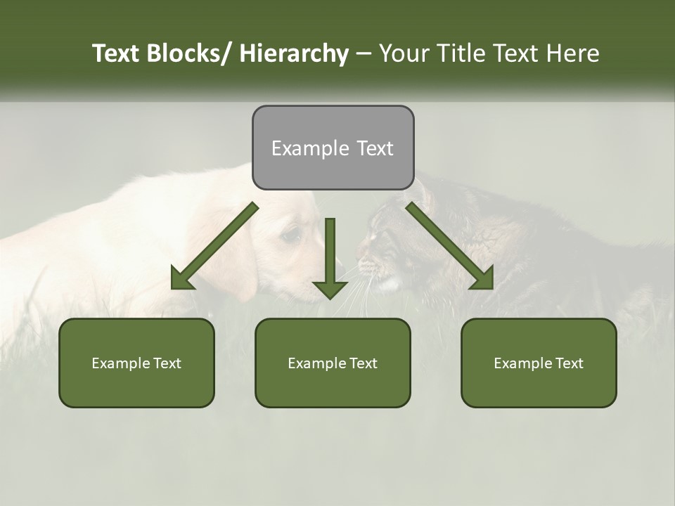 Technology Cool Climate PowerPoint Template