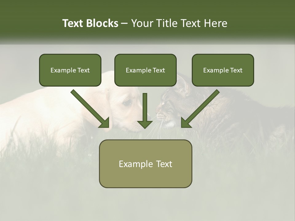 Technology Cool Climate PowerPoint Template