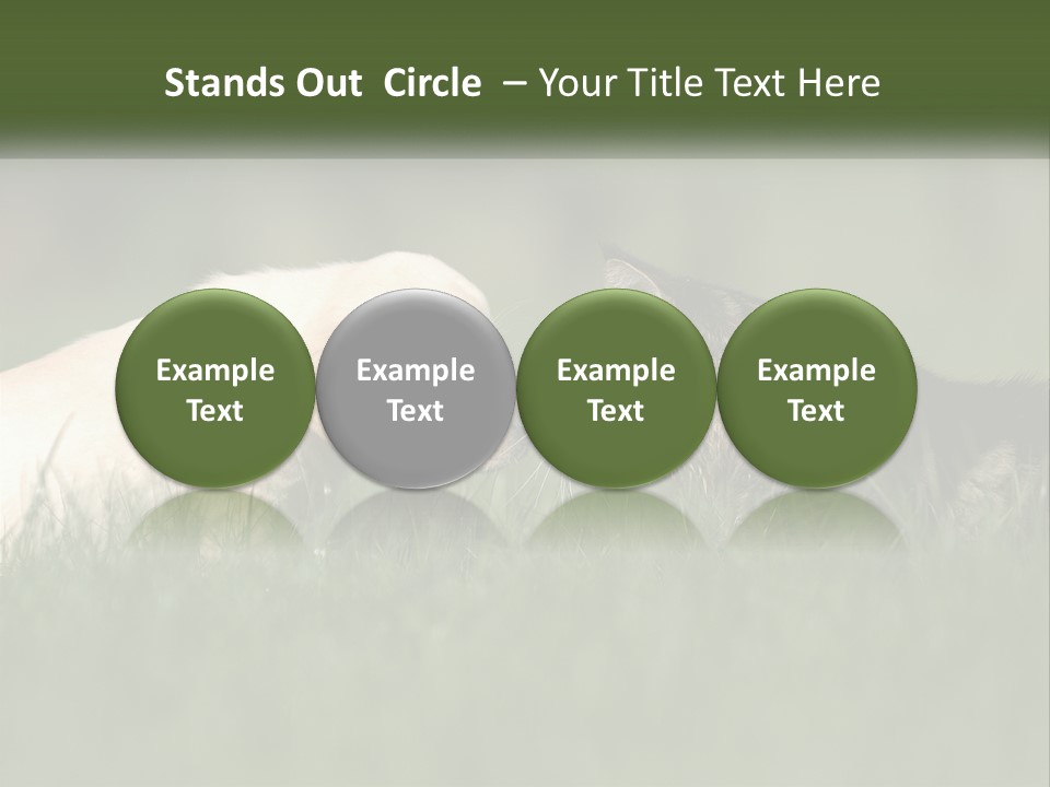 Technology Cool Climate PowerPoint Template