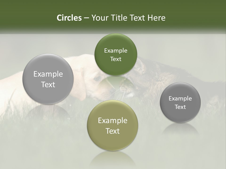 Technology Cool Climate PowerPoint Template