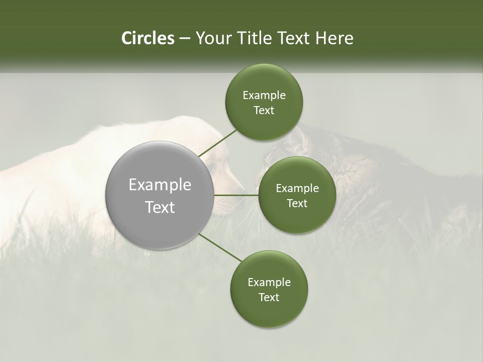 Technology Cool Climate PowerPoint Template