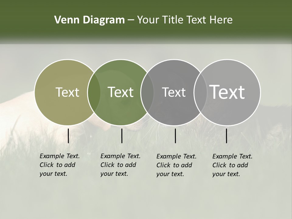 Technology Cool Climate PowerPoint Template