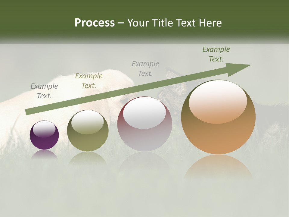 Technology Cool Climate PowerPoint Template