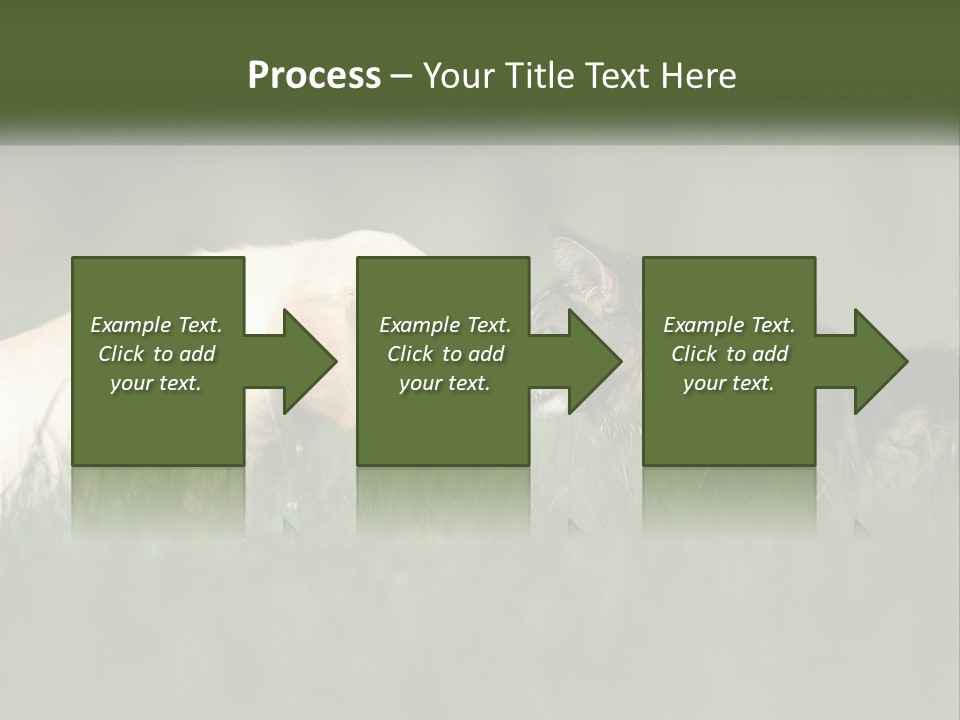 Technology Cool Climate PowerPoint Template