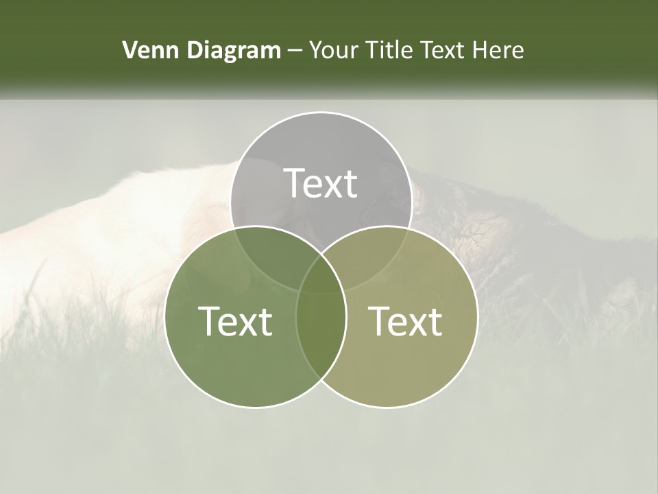 Technology Cool Climate PowerPoint Template
