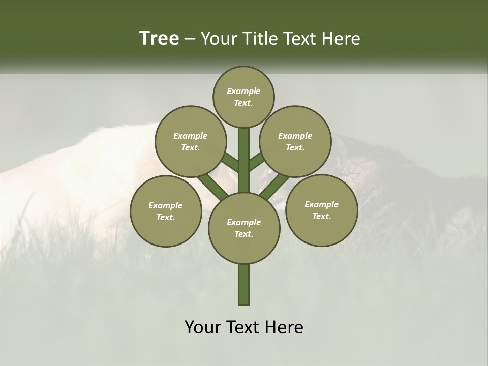 Technology Cool Climate PowerPoint Template