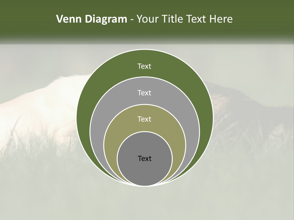 Technology Cool Climate PowerPoint Template