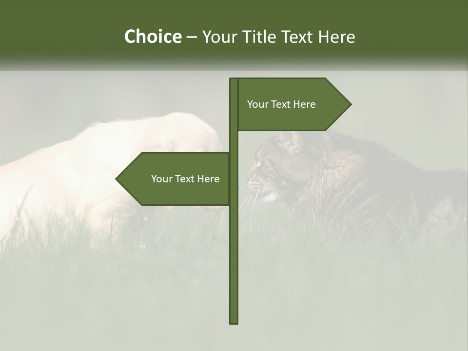 Technology Cool Climate PowerPoint Template