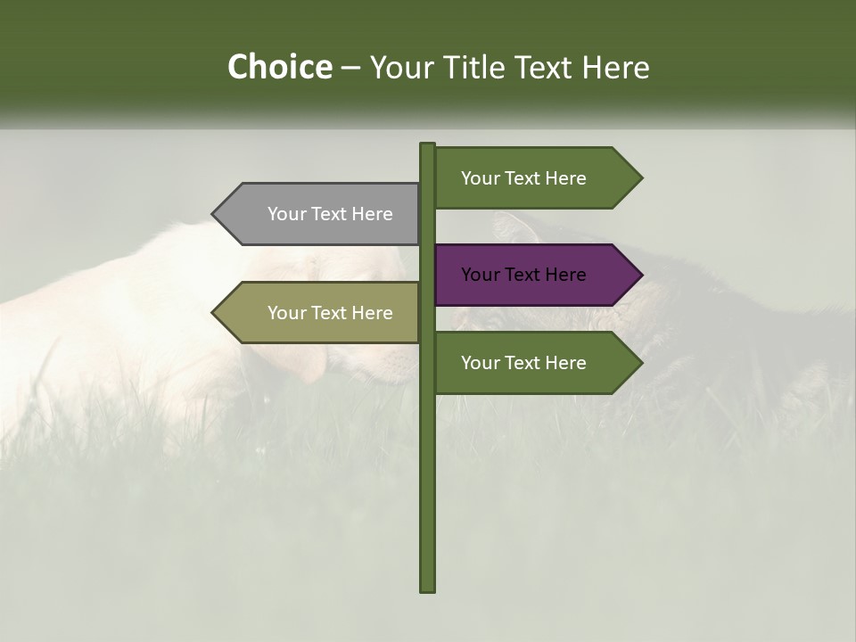 Technology Cool Climate PowerPoint Template