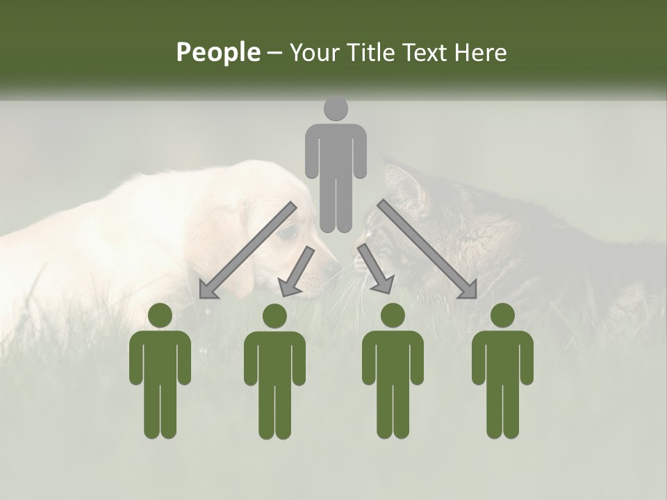 Technology Cool Climate PowerPoint Template