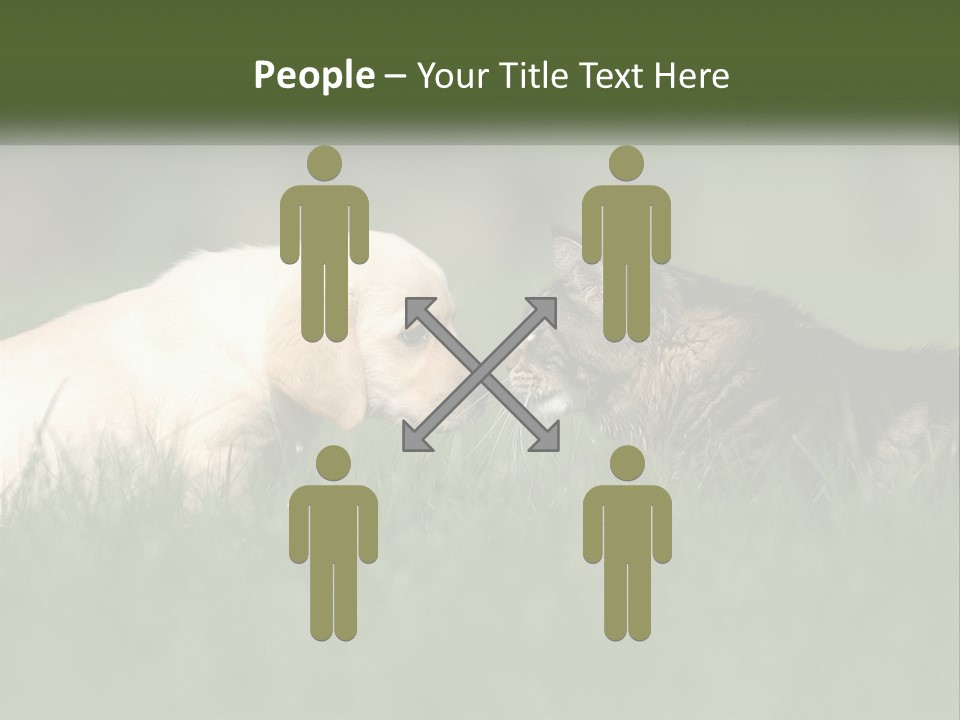 Technology Cool Climate PowerPoint Template