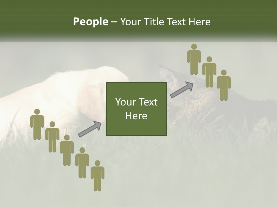 Technology Cool Climate PowerPoint Template