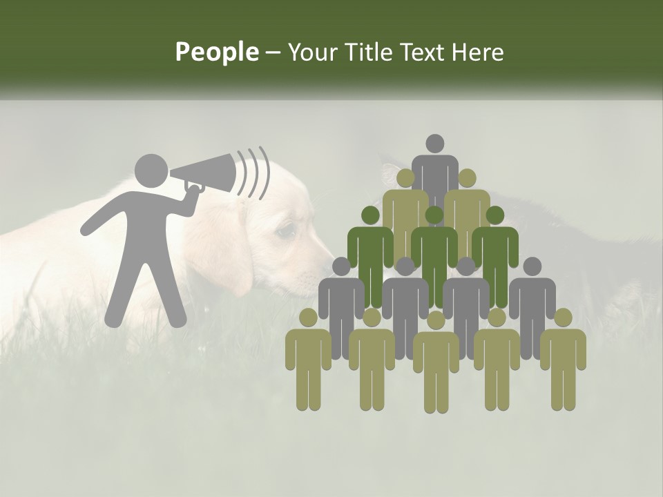 Technology Cool Climate PowerPoint Template