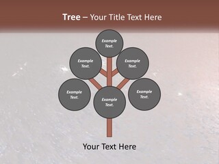 House Electric Condition PowerPoint Template