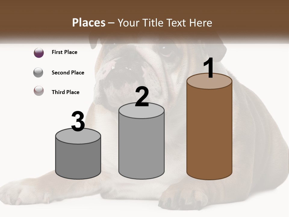 Electric Energy Home PowerPoint Template