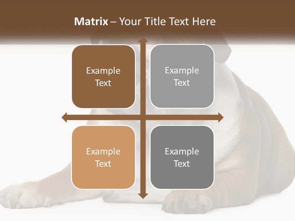 Electric Energy Home PowerPoint Template