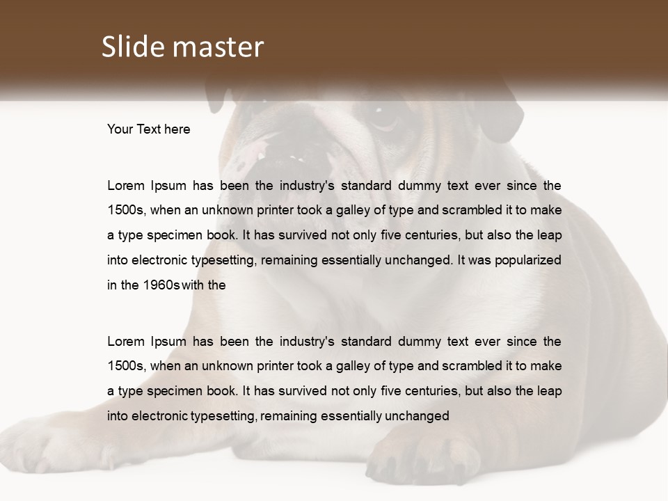 Electric Energy Home PowerPoint Template