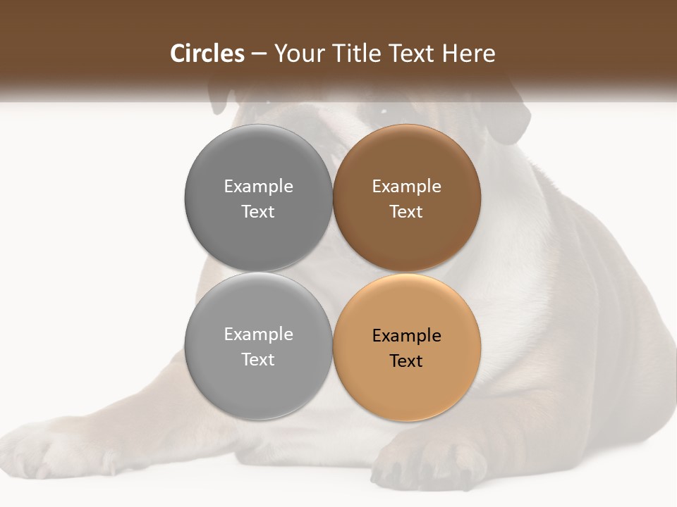 Electric Energy Home PowerPoint Template