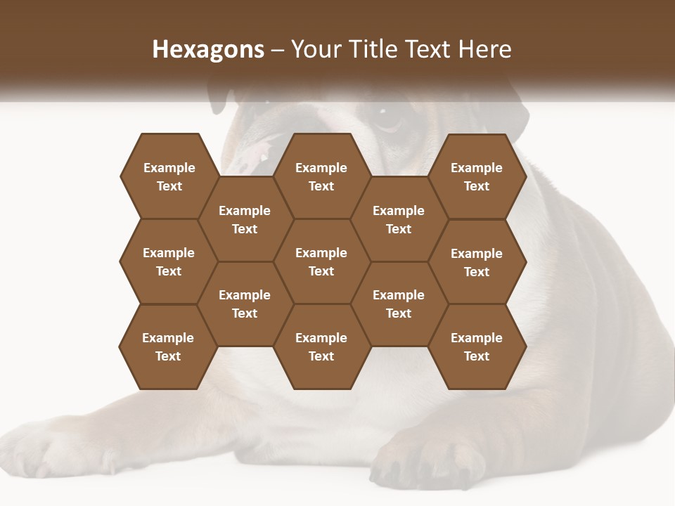 Electric Energy Home PowerPoint Template