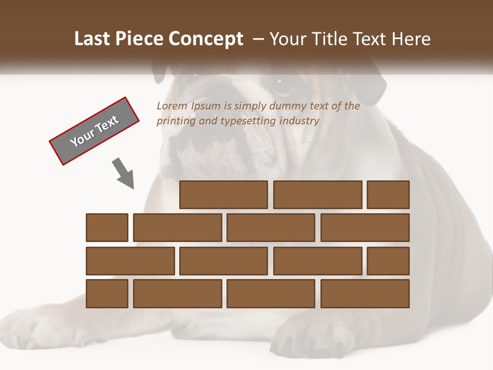 Electric Energy Home PowerPoint Template