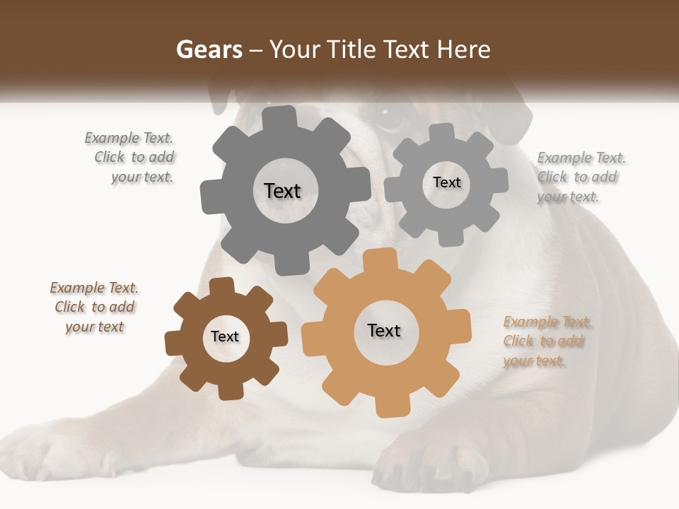 Electric Energy Home PowerPoint Template