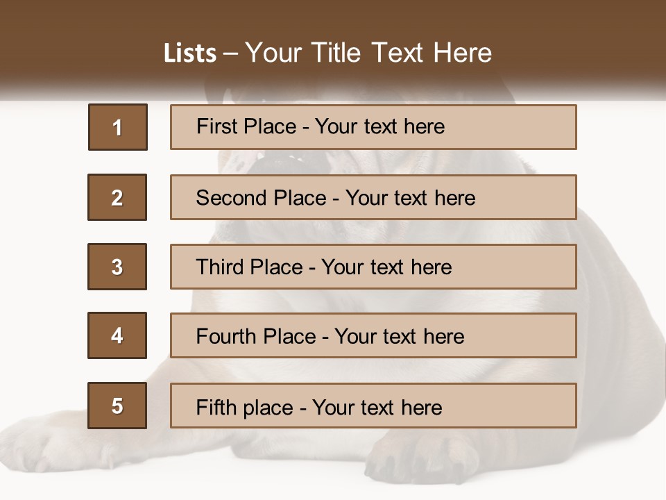 Electric Energy Home PowerPoint Template