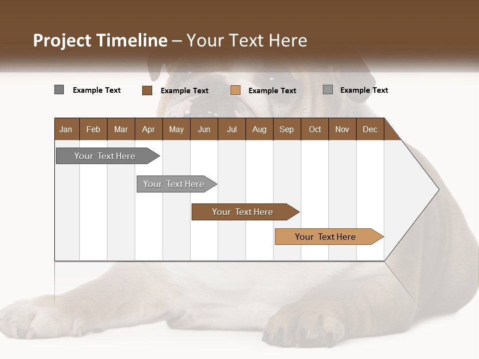 Electric Energy Home PowerPoint Template