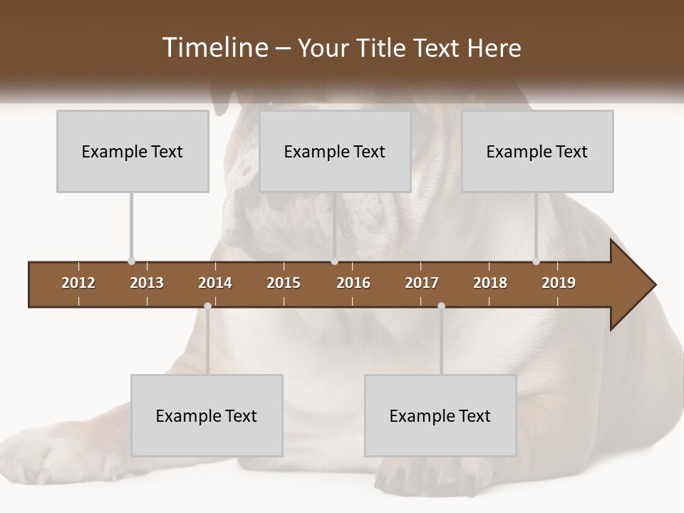 Electric Energy Home PowerPoint Template