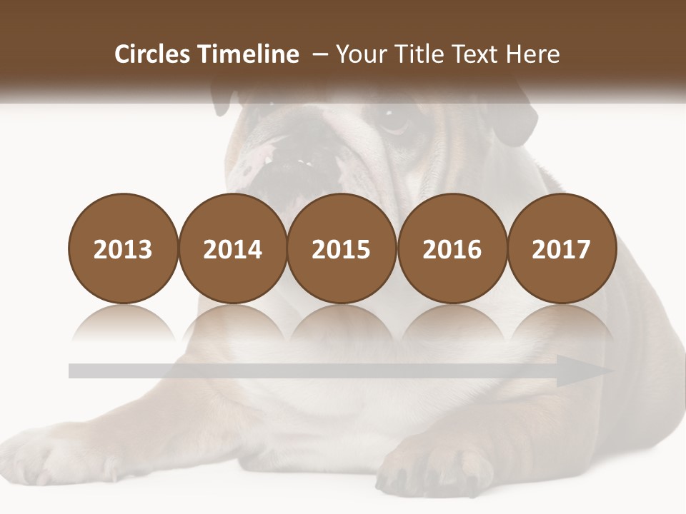 Electric Energy Home PowerPoint Template