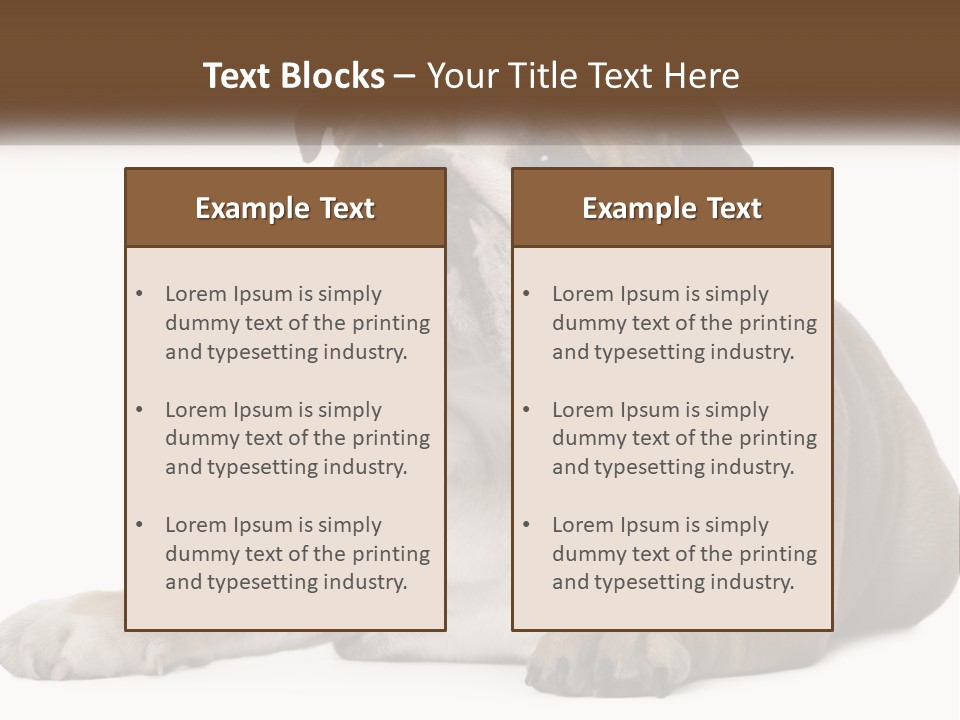 Electric Energy Home PowerPoint Template