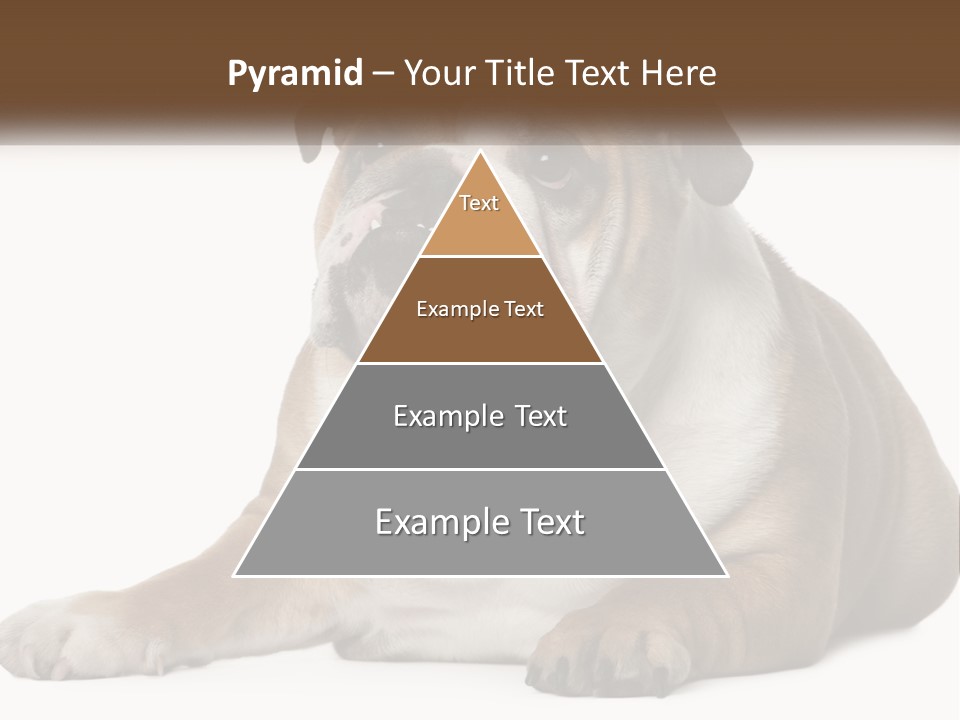 Electric Energy Home PowerPoint Template