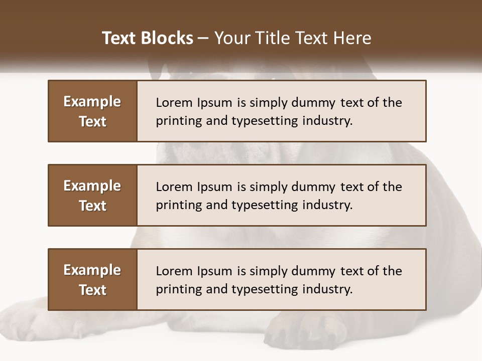 Electric Energy Home PowerPoint Template