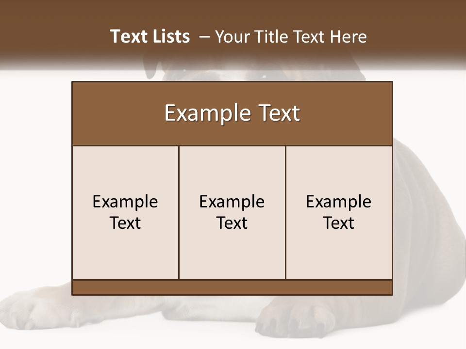 Electric Energy Home PowerPoint Template