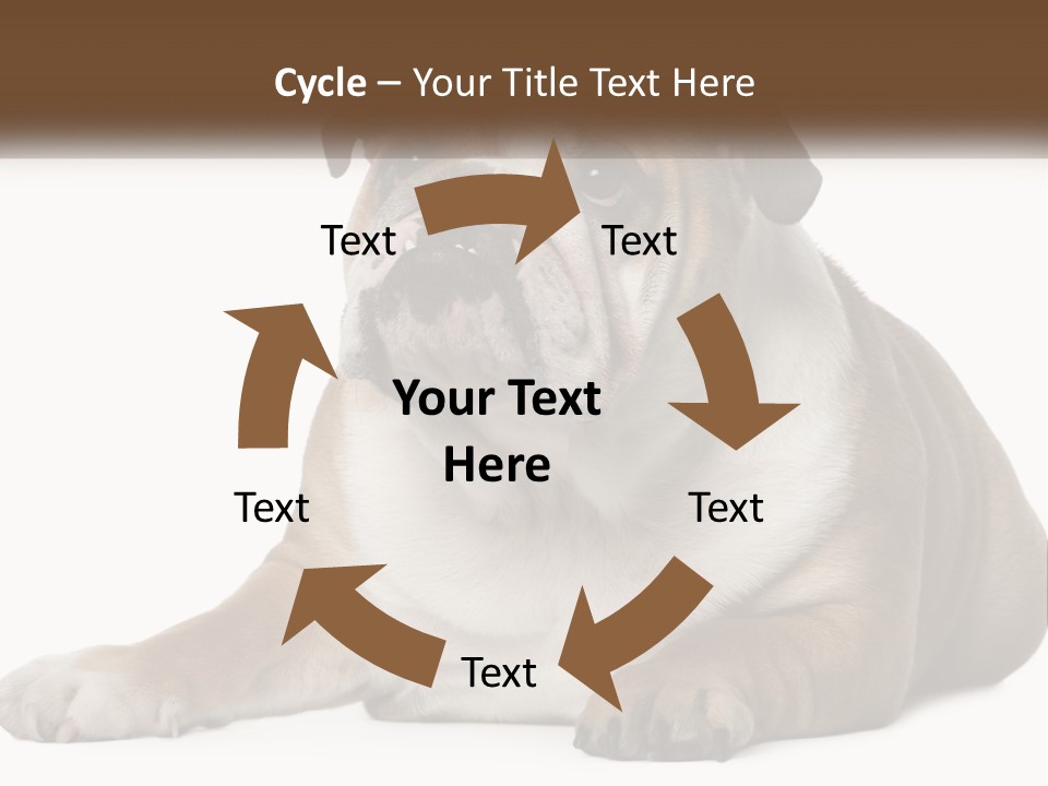 Electric Energy Home PowerPoint Template