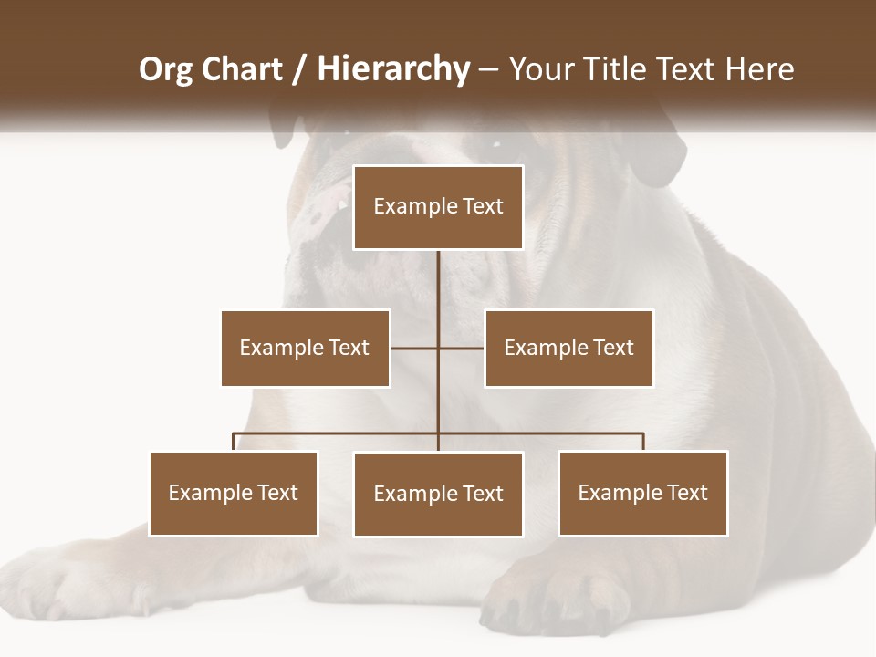 Electric Energy Home PowerPoint Template