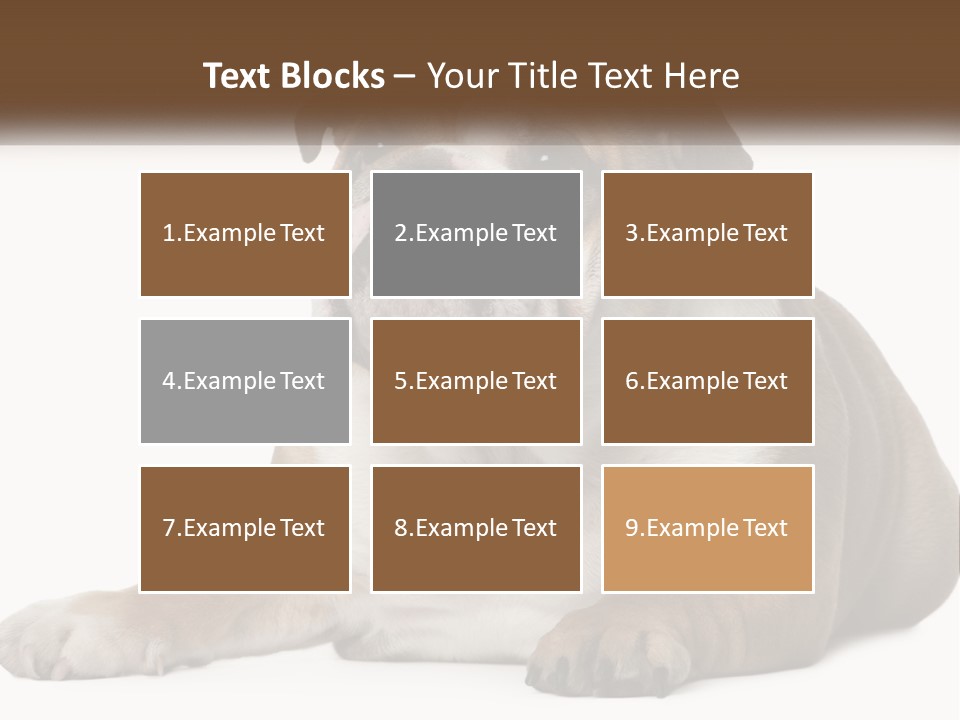 Electric Energy Home PowerPoint Template