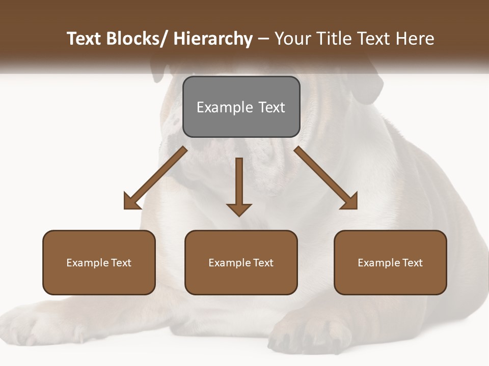 Electric Energy Home PowerPoint Template