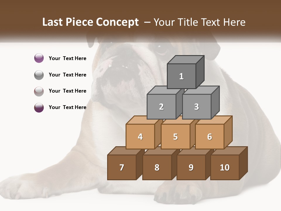 Electric Energy Home PowerPoint Template